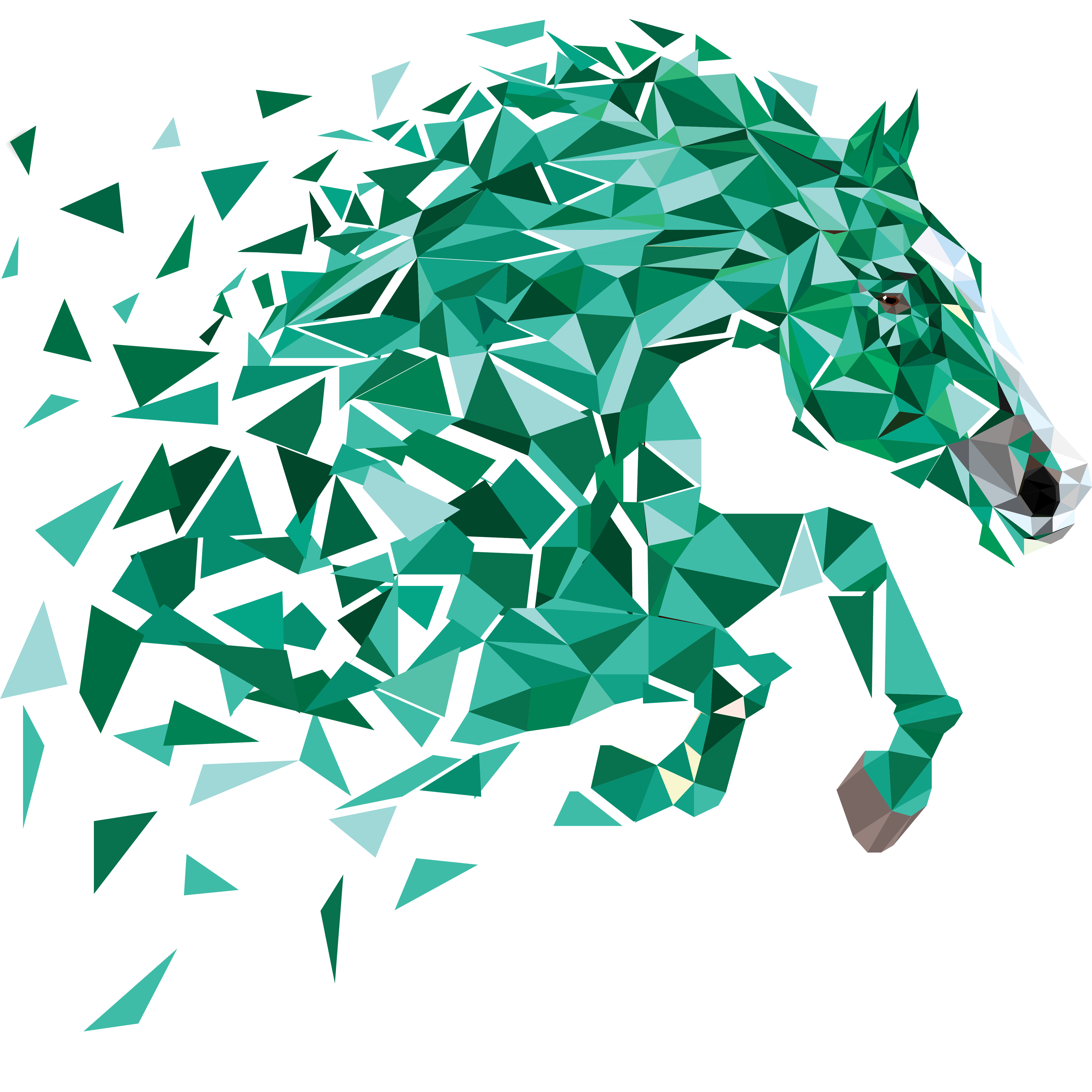 Aloga Show Advisor